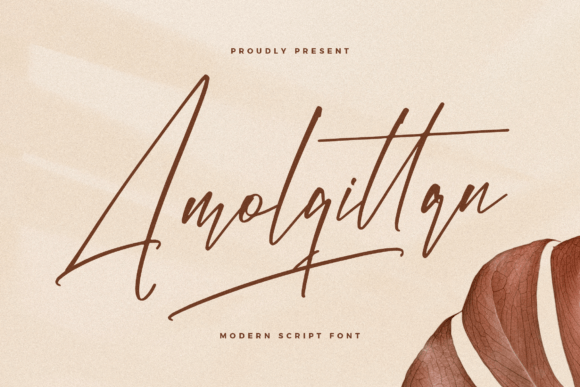Amolqittan: A Modern Script Font for Scroll-Stopping Marketing