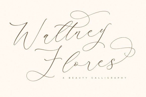 Waltney Flores: A Beautiful Web Font for Modern Brands