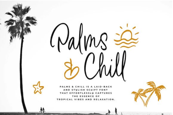 Why Palms Chill Is the Script Font for a Relaxed, Trustworthy Brand